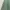 Culottes Green photo 3