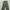 Culottes Green