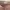 ByNeeth Culottes Nude Pink photo 6