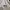 Jersey NFL La Salle College Original Player Version photo 4