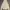 GAP Tall Grande Hoodie photo 1