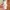 T shirt Fred perry Tapped White photo 5