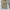 EDWIN Casual Y2K Casual pants Pria brown photo 8