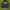 Hoodie Fila Sherpa Luar  photo 1
