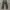 NIKE VTG CORDURAY LONG PANTS OLIVE GREEN  photo 2