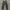 NIKE VTG CORDURAY LONG PANTS OLIVE GREEN 