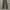 NIKE VTG CORDURAY LONG PANTS OLIVE GREEN  photo 3