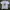Hanes Vintage Y2K T-shirt Pria white photo 1