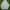 Hoodie Kirsh Zipper photo 5