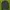 Jaket Tracktop Running The North Face Reflektif      