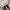 Converse Chuck Taylor All Star 70S High Black White photo 7