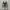 Converse Chuck Taylor All Star 70S High Black White photo 4
