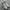 adidas SL photo 3