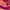 Tye-Die Tapestry photo 7
