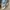 Kapital Kountry Streetwear Reworked Hat Pria multicolor photo 5