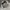 Kapital Kountry Streetwear Reworked Hat Pria multicolor photo 6