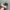 Kapital Kountry Streetwear Reworked Hat Pria multicolor photo 2