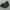 Waist Bag Volcom photo 2
