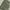 Jeans Highways Army photo 6