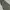Jeans Highways Army photo 4