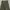 Jeans Highways Army photo 1