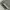 Jeans Highways Army photo 2