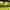 Crop Top - Yellow Lime photo 3