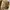 Vivienne Westwood Y2K Luxury Tote bag Wanita white black photo 3