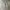 Jorts Grey photo 3
