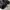 SweatPants Black Ballon photo 6