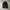 SweatPants Black Ballon photo 1