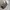 Coach Vintage Y2K Shoulder bag Wanita tan brown photo 6