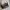 Coach Vintage Y2K Shoulder bag Wanita tan brown photo 3