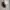 Coach Vintage Y2K Shoulder bag Wanita tan brown photo 5