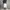 SweatPants Jorts Grey photo 2