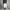 SweatPants Jorts Grey