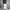 SweatPants Grey Xerobnr photo 2