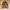 Brown vintage leather jacket photo 1