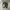 BallonSuperWideLeg Jeans Pattern photo 1