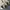 Cargo GU SuperWideLeg Cream photo 6