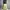 Cargo GU SuperWideLeg Cream photo 2