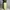 Cargo GU SuperWideLeg Cream photo 3