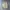 Cargo GU SuperWideLeg Cream photo 4