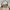 Coach Vintage Y2K Shoulder bag Wanita cream photo 2