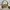 Coach Vintage Y2K Shoulder bag Wanita cream photo 5