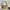 Coach Vintage Y2K Shoulder bag Wanita cream photo 4