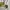 Coach Vintage Y2K Shoulder bag Wanita cream photo 3