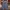 Jorts emba big pocket photo 1