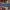 Jorts emba big pocket photo 4