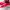 Vans Authentic Red Chili photo 2